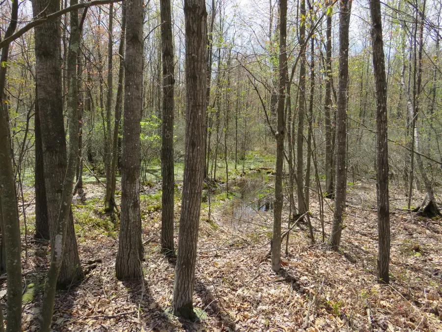 N Chippewa Road, Mount Pleasant, MI 48858 - #3