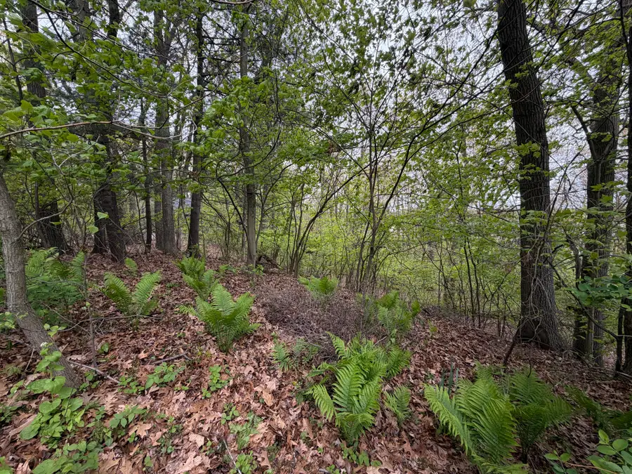 3114 Red Oak Drive #Lot 9, Saugatuck, MI 49453 - #3