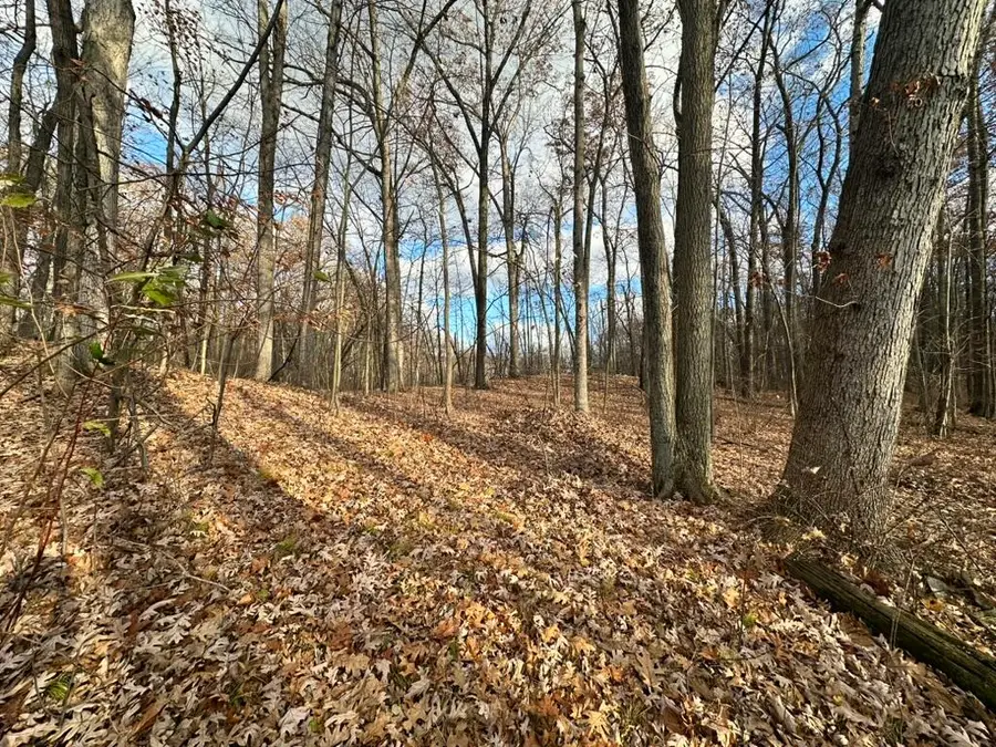 Oak Vacant Lots, Pinckney, MI 48169 - #2