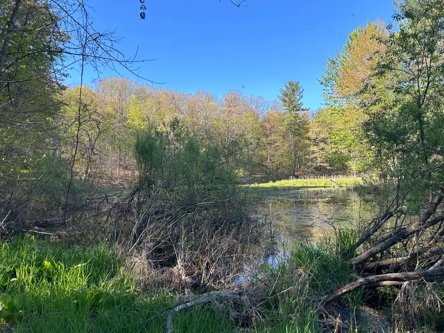 E 22 Mile Road, Sand Lake, MI 49343 - #3