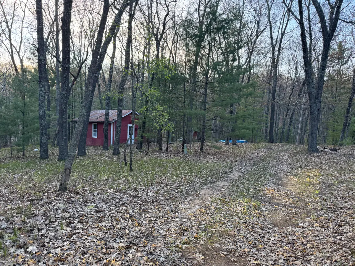 9075 S Larson Avenue, Baldwin, MI 49304 - #1