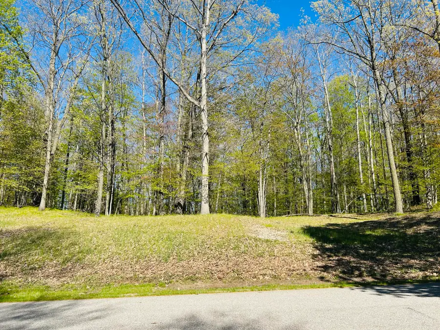 9304 Briarstone Drive #28, Canadian Lakes, MI 49346 - #2