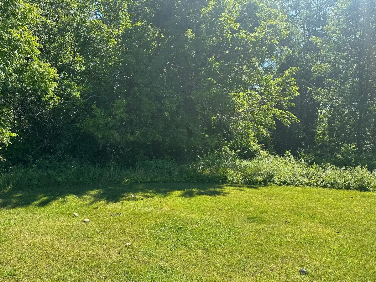 109 Diamond Point Lane, New Buffalo, MI 49117 - #1