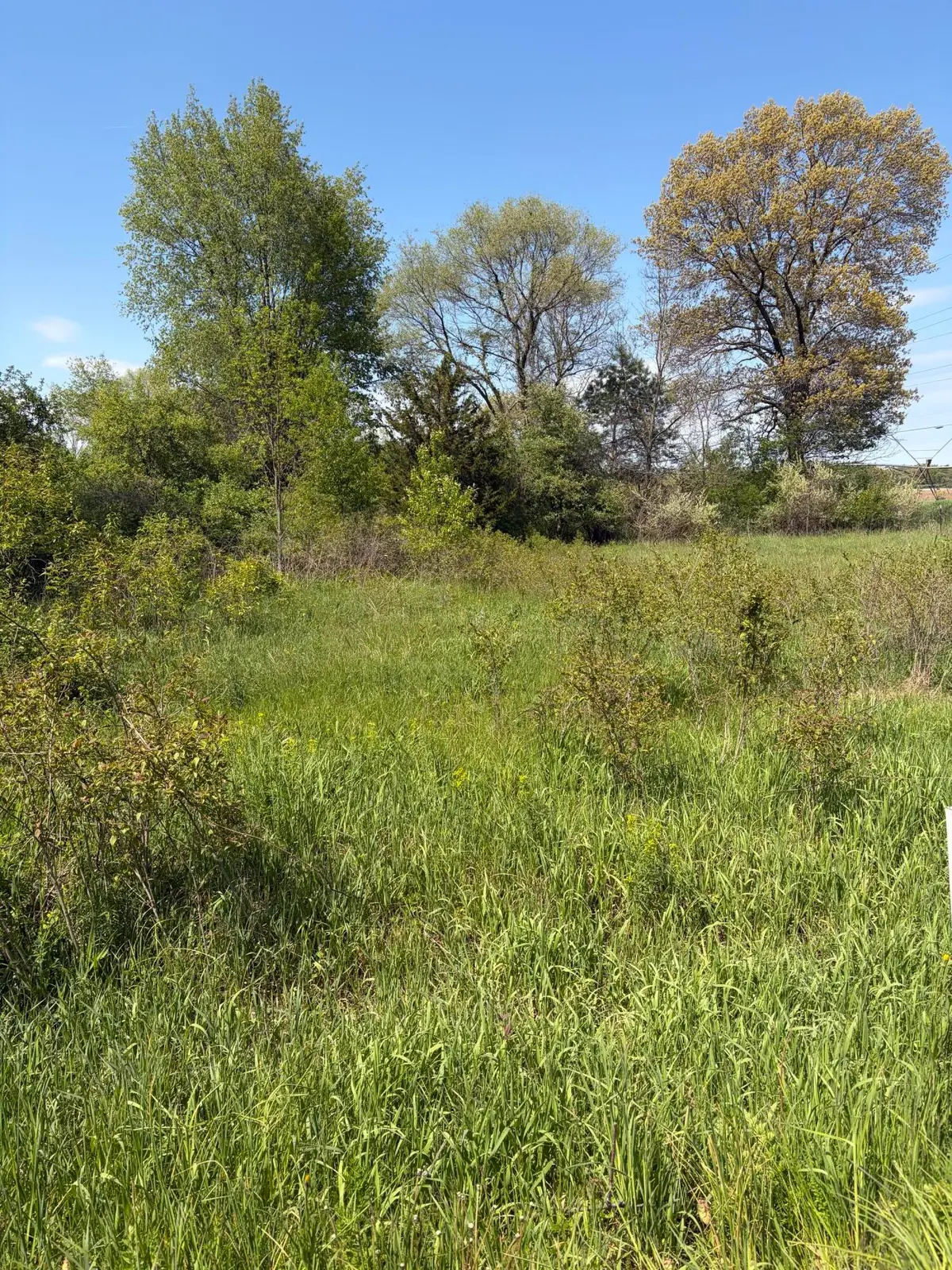 969 106th Avenue, Plainwell, MI 49080 - #1