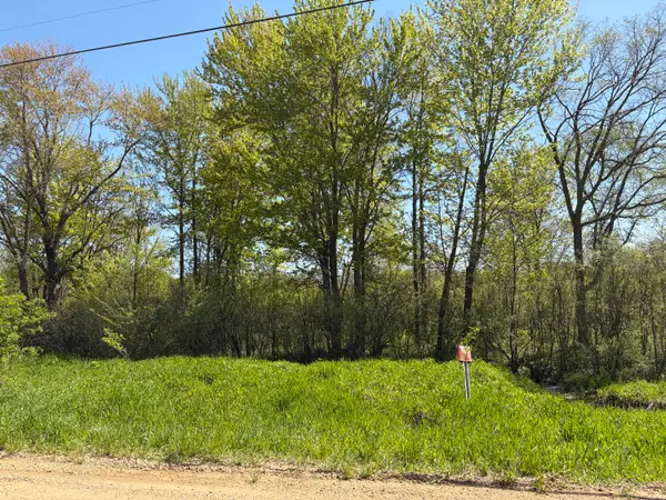 00000 41st Street #Parcel D, Paw Paw, MI 49079