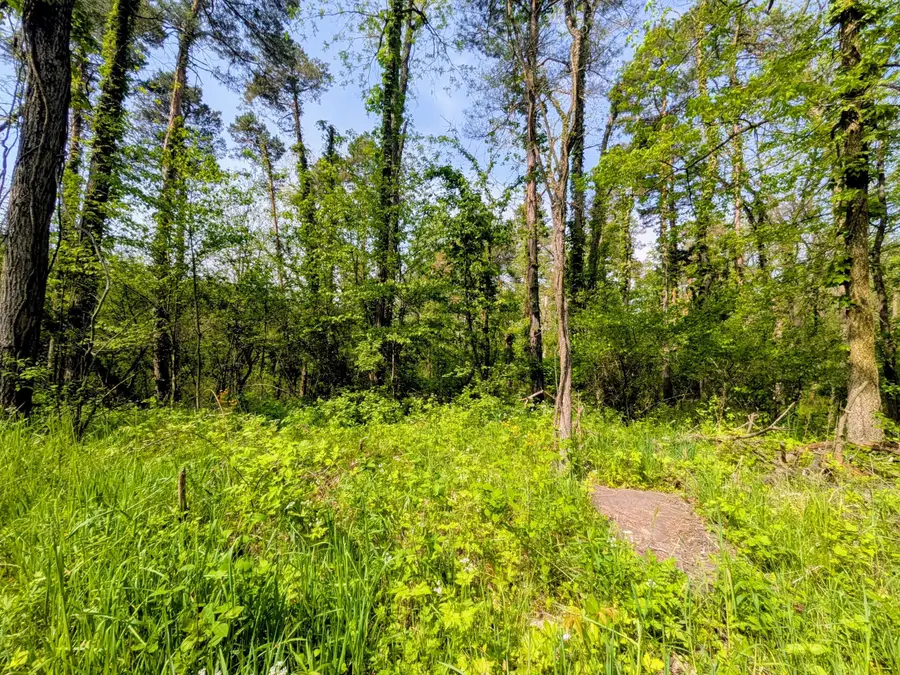 16850 S 16th Street, Vicksburg, MI 49097 - #2
