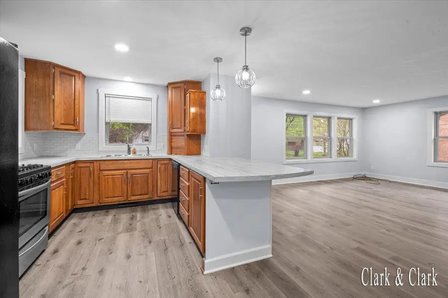 6 N Park Street Ne, Cedar Springs, MI 49319 - #3