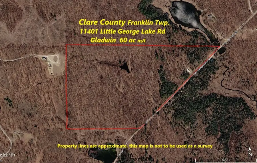 11401 Little George Lake Road, Gladwin, MI 48624 - #2