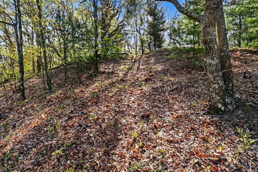 N Silver Ridge Road, Mears, MI 49436 - #3