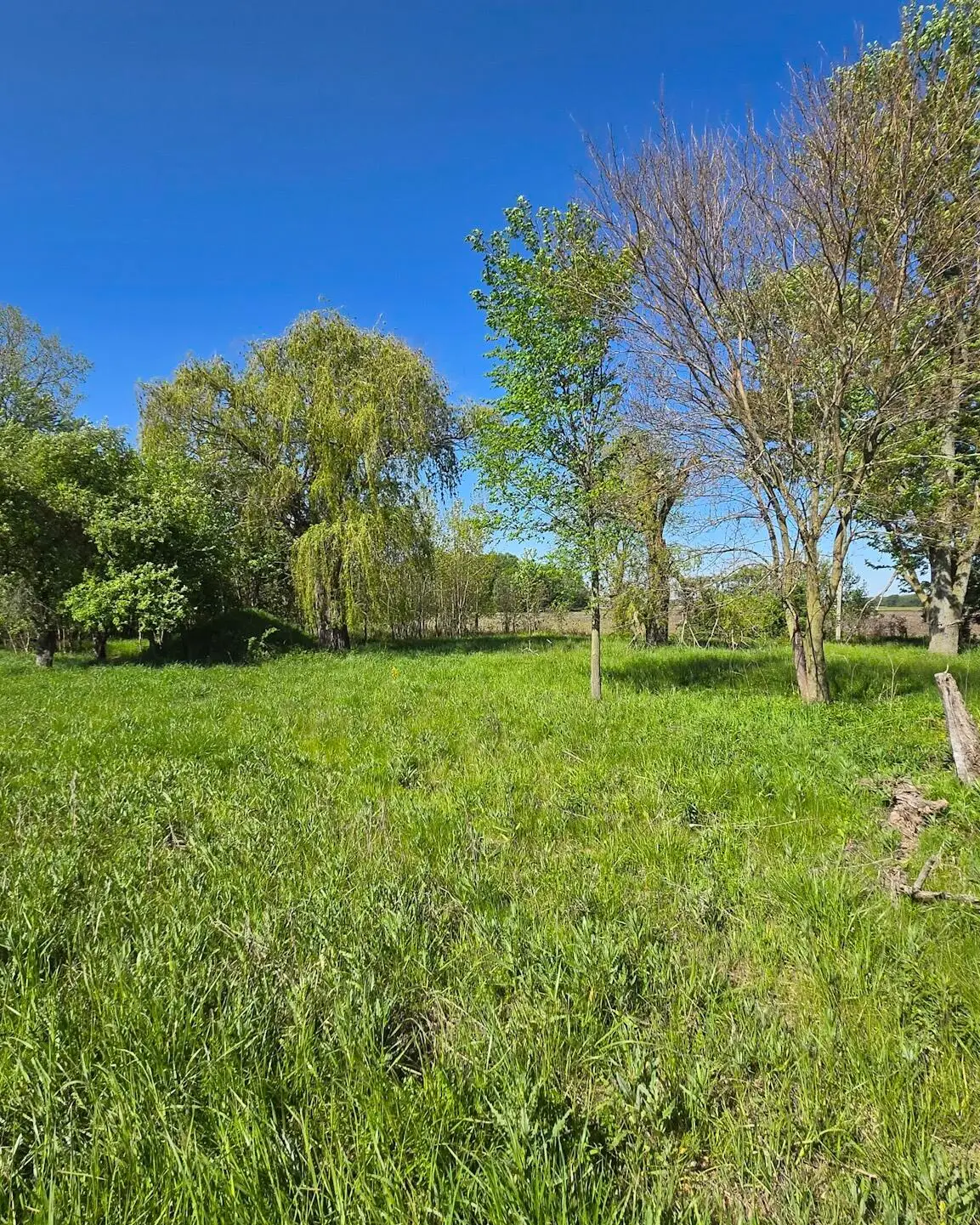 18946 Avery Road, Three Oaks, MI 49128 - #1