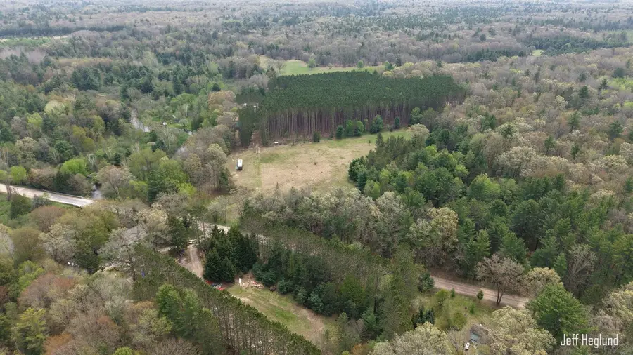 11125 W 11 Mile Road, Irons, MI 49644 - #2
