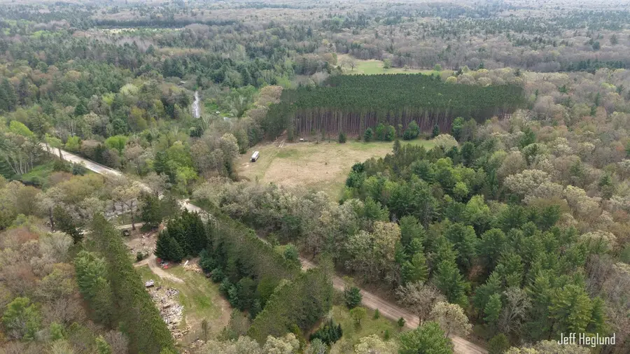 11125 W 11 Mile Road, Irons, MI 49644 - #3