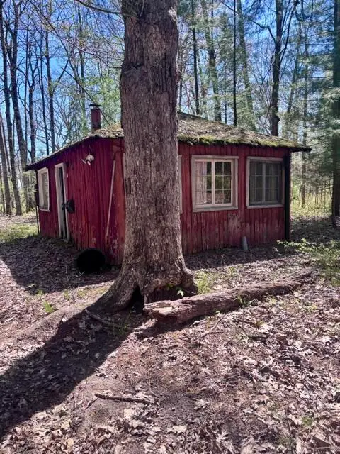 00 Pomeroy Springs Road, Manistee, MI 49660 - #2
