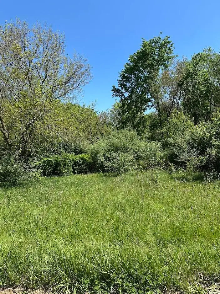 11630 Greenlawn Drive, Jerome, MI 49249 - #1