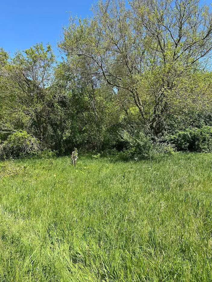 11630 Greenlawn Drive, Jerome, MI 49249 - #2