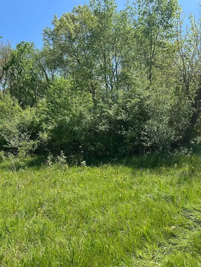 11630 Greenlawn Drive, Jerome, MI 49249 - #3
