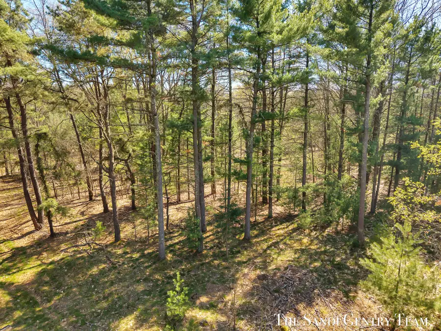Whitehall Road, Whitehall, MI 49461 - #2