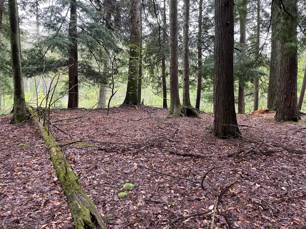 V/L E Pomeroy Springs Road, Irons, MI 49644 - #1