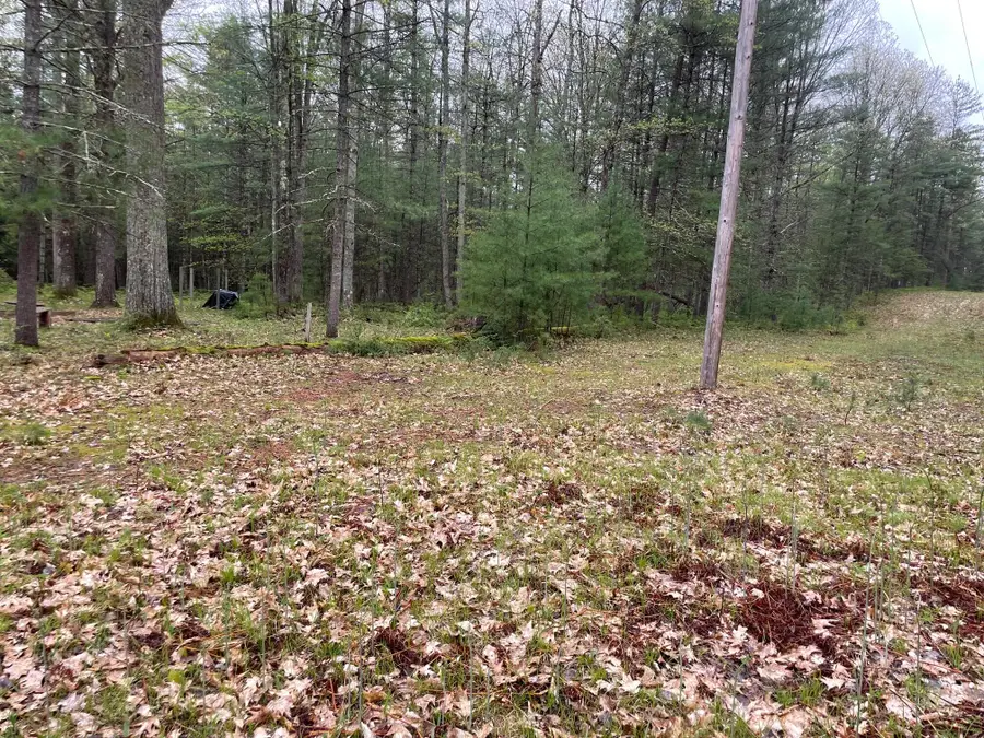 V/L E Pomeroy Springs Road, Irons, MI 49644 - #3