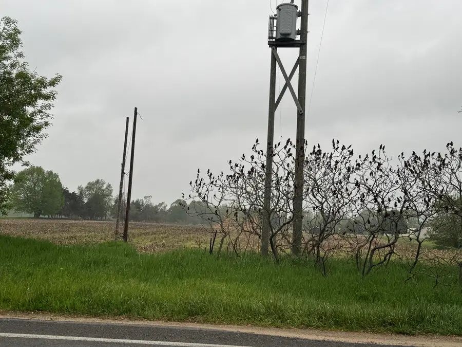V/L Mckinley Road, Big Rapids, MI 49307 - #2