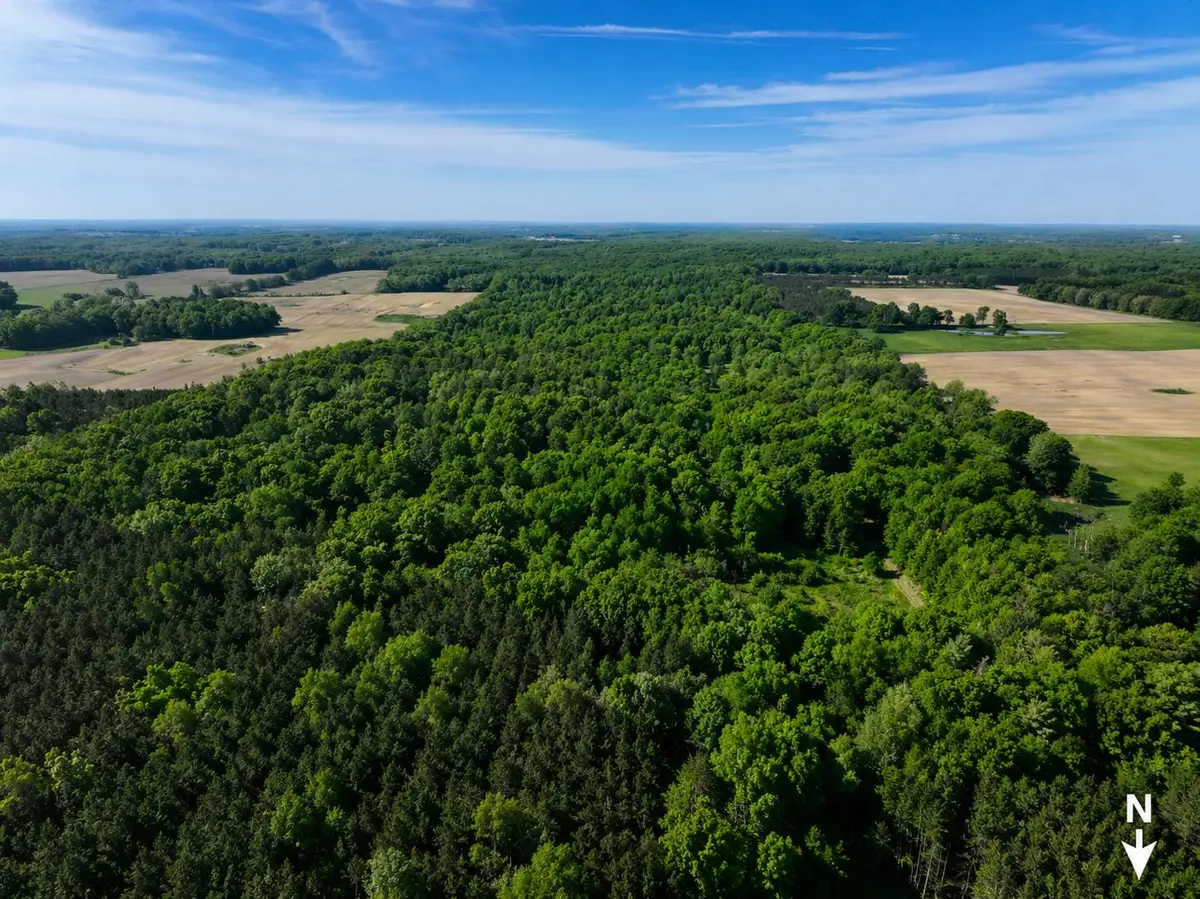 3685 Cypress Road, Blanchard, MI 49310 - #1