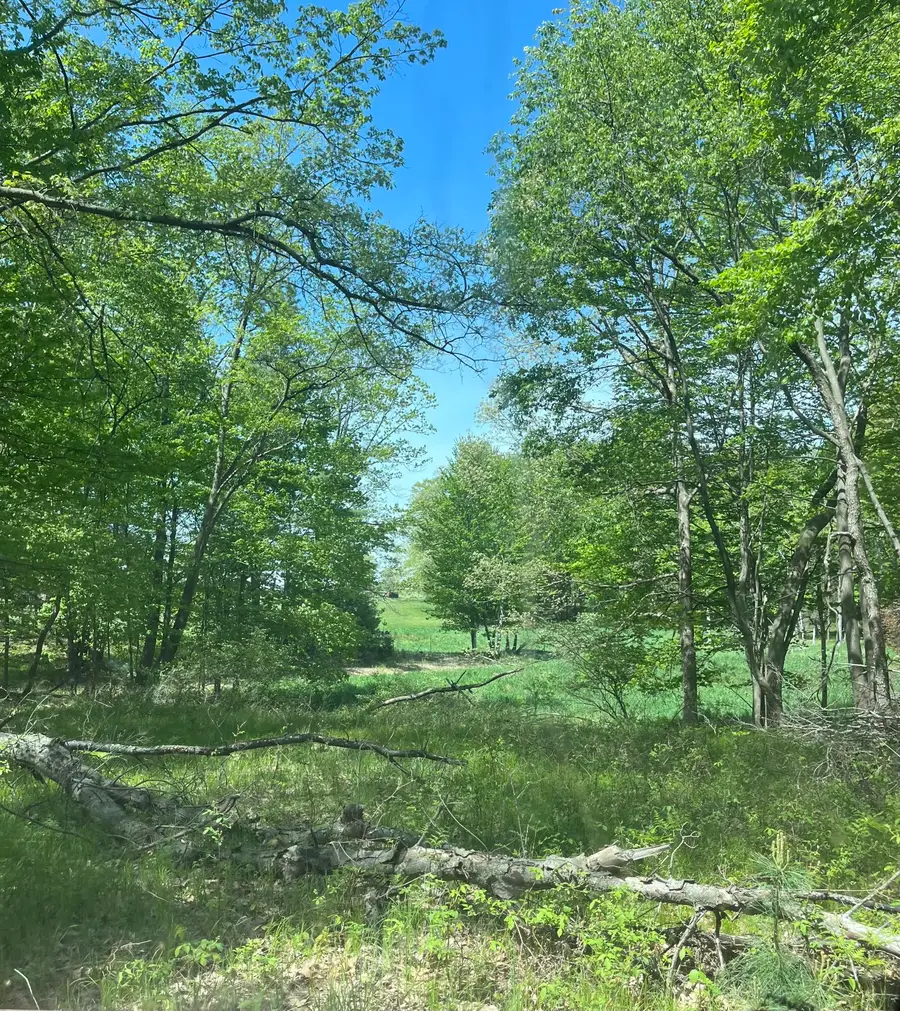 3685 Cypress Road, Blanchard, MI 49310 - #2
