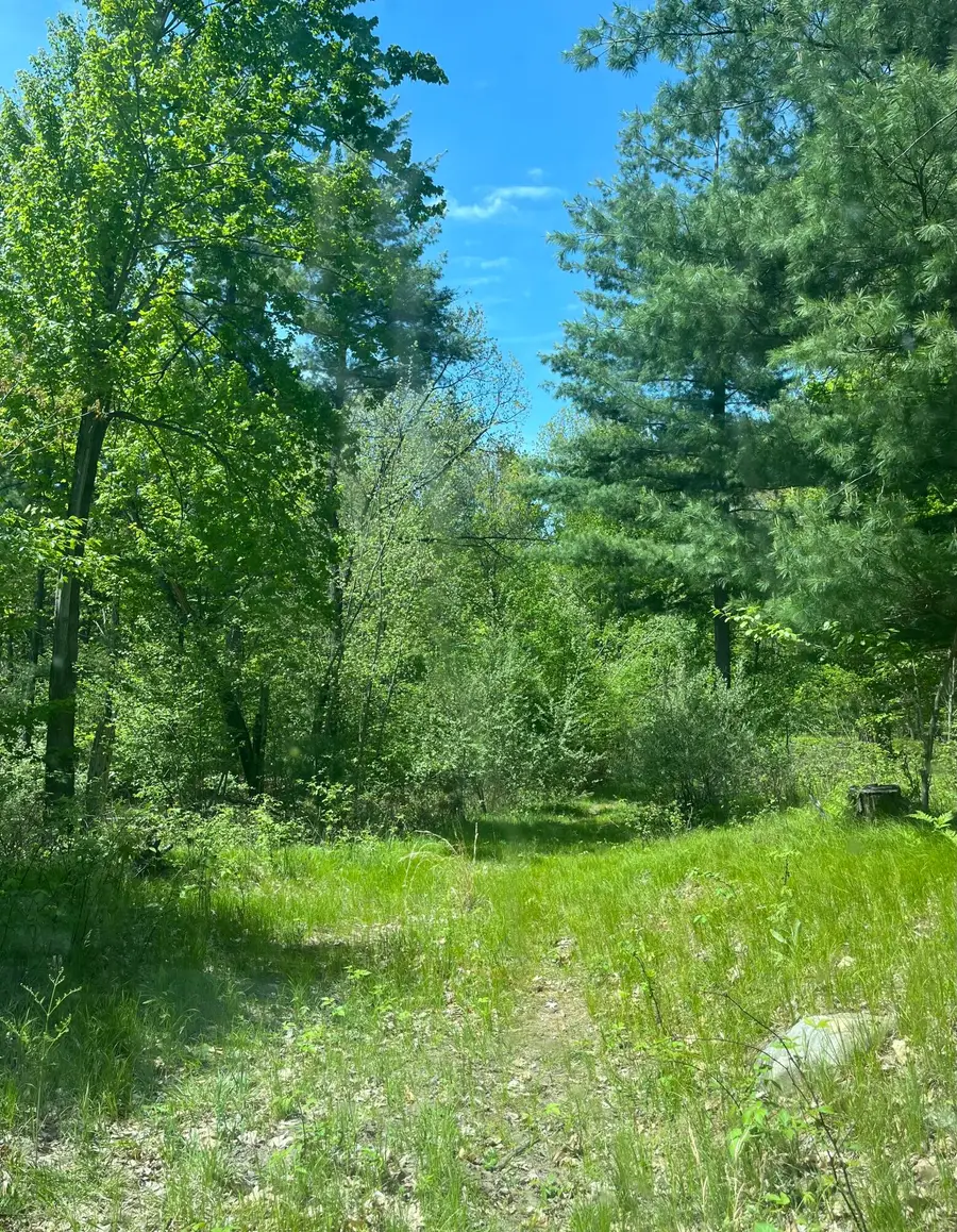 3685 Cypress Road, Blanchard, MI 49310 - #3