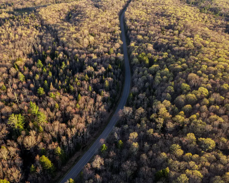 Lot 2 Federal Forest Highway 16, Iron River, MI 49935 - #3