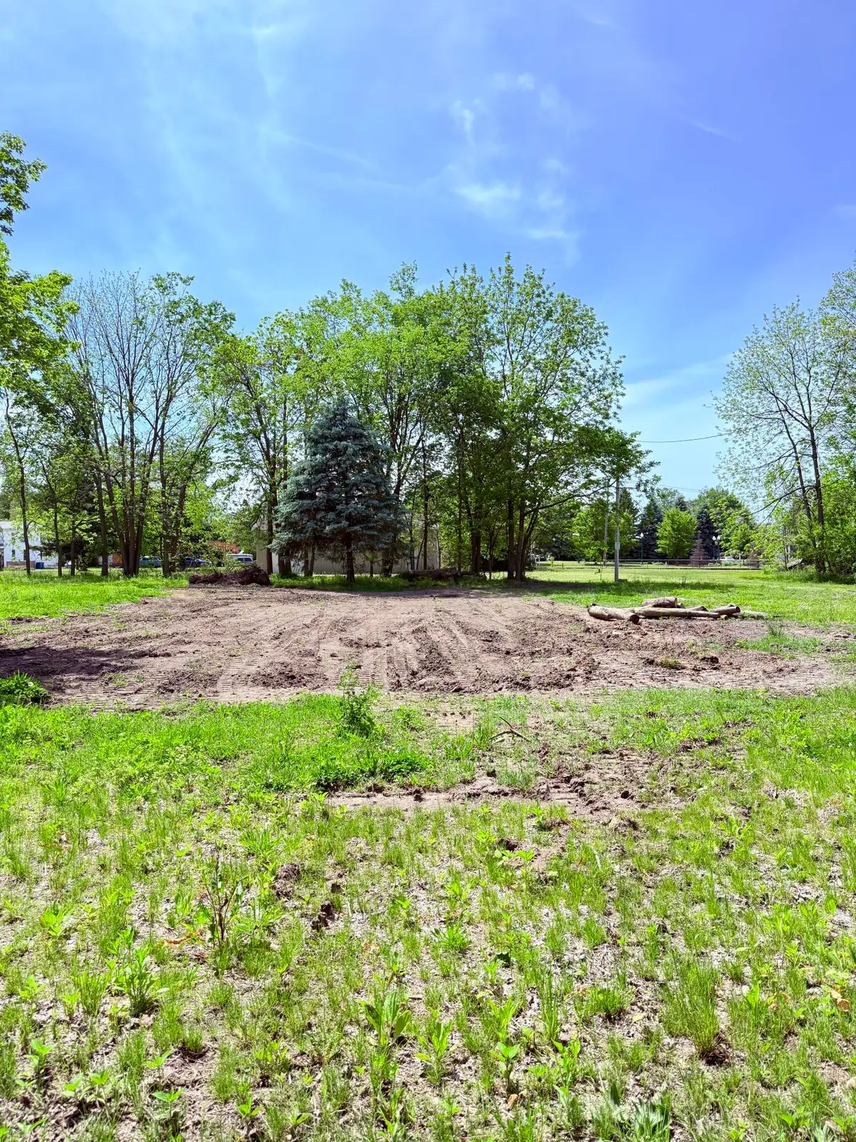 308 Rose Street, Vicksburg, MI 49097 - #1