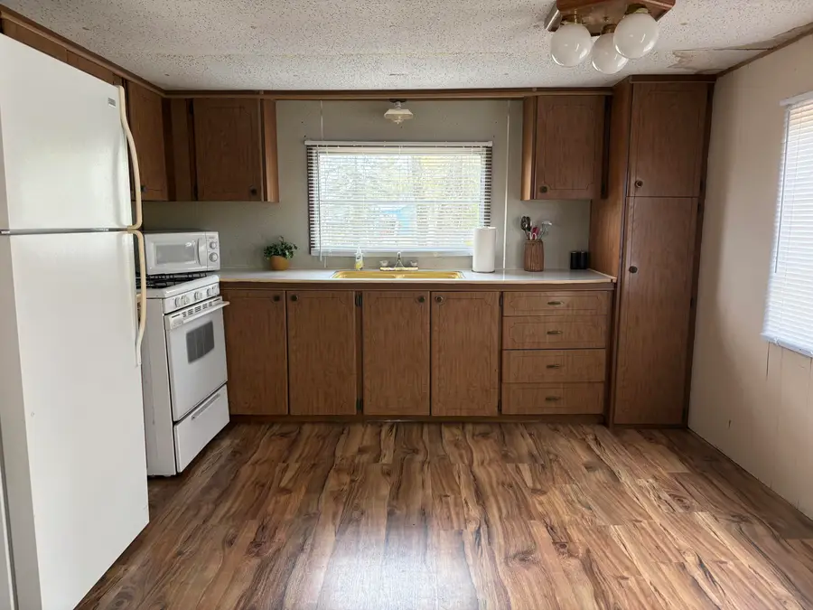 3217 W Maringo Pass, Baldwin, MI 49304 - #2