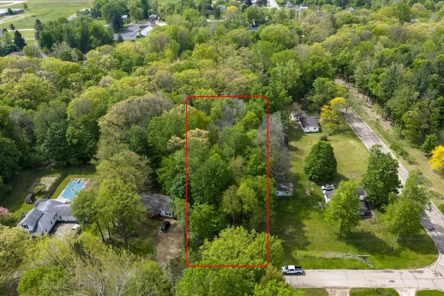 202 Lowe Street, Allegan, MI 49010 - #3