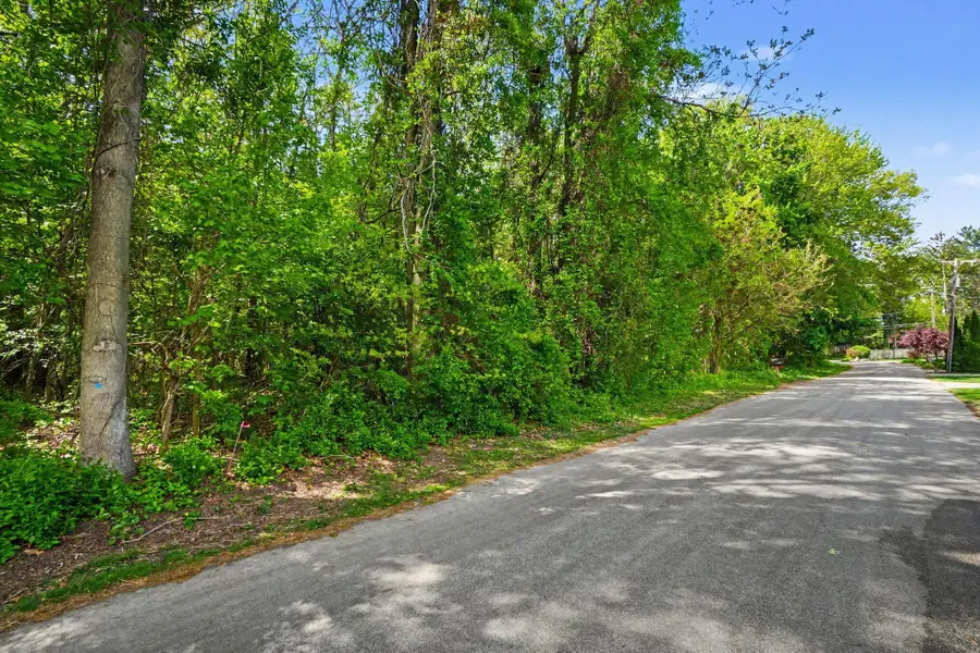 V/l Parcel A Vine, Spring Lake, MI 49456 - #2