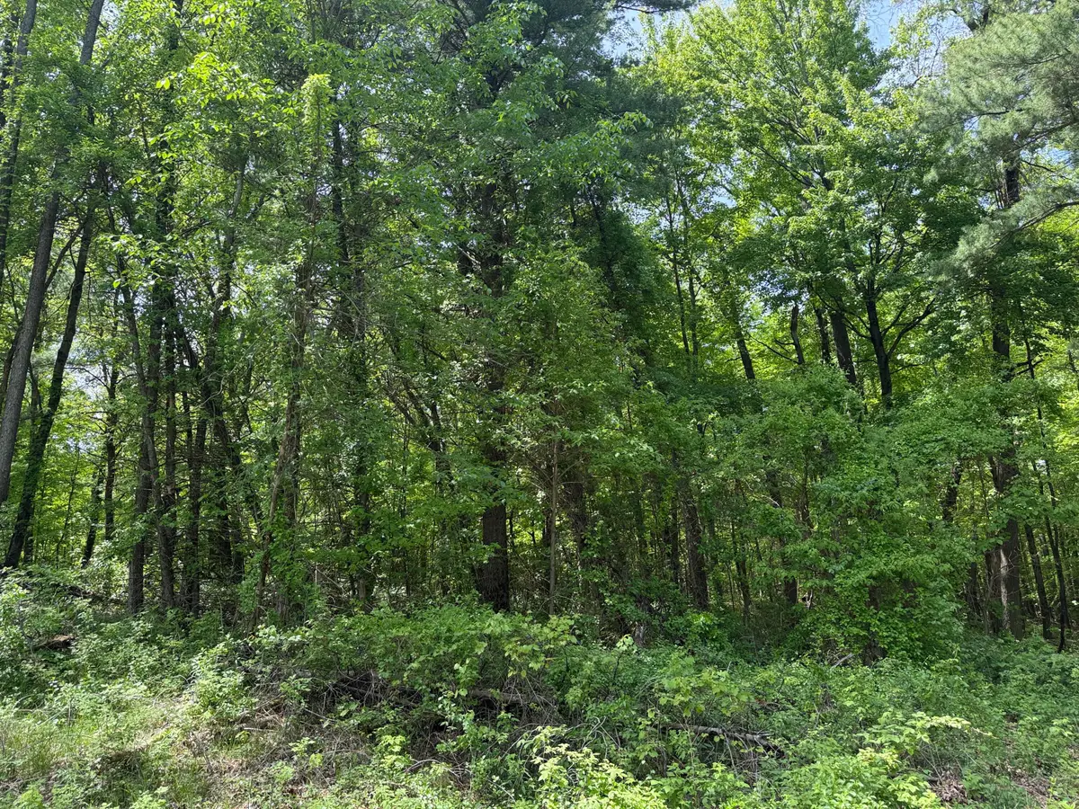 V/L New Bailey Drive Ne, Ada, MI 49301 - #1