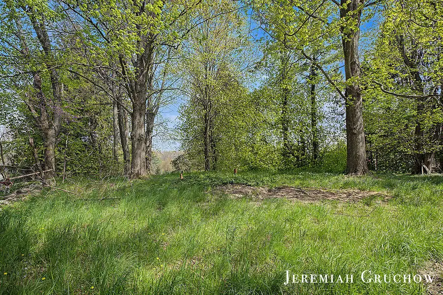 8721 Conservation Street Ne, Ada, MI 49301 - #3