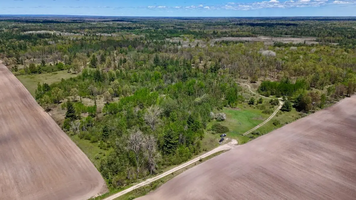 La Grant Road, Alger, MI 48610 - #1