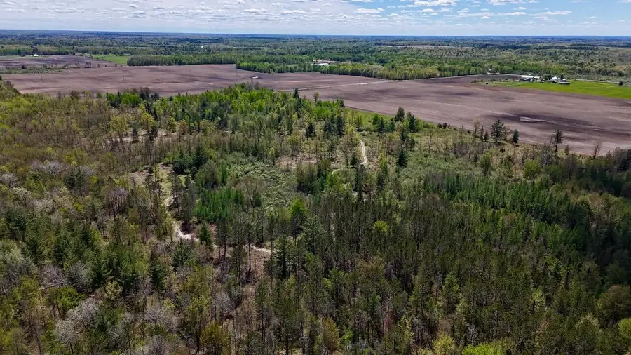 La Grant Road, Alger, MI 48610 - #2
