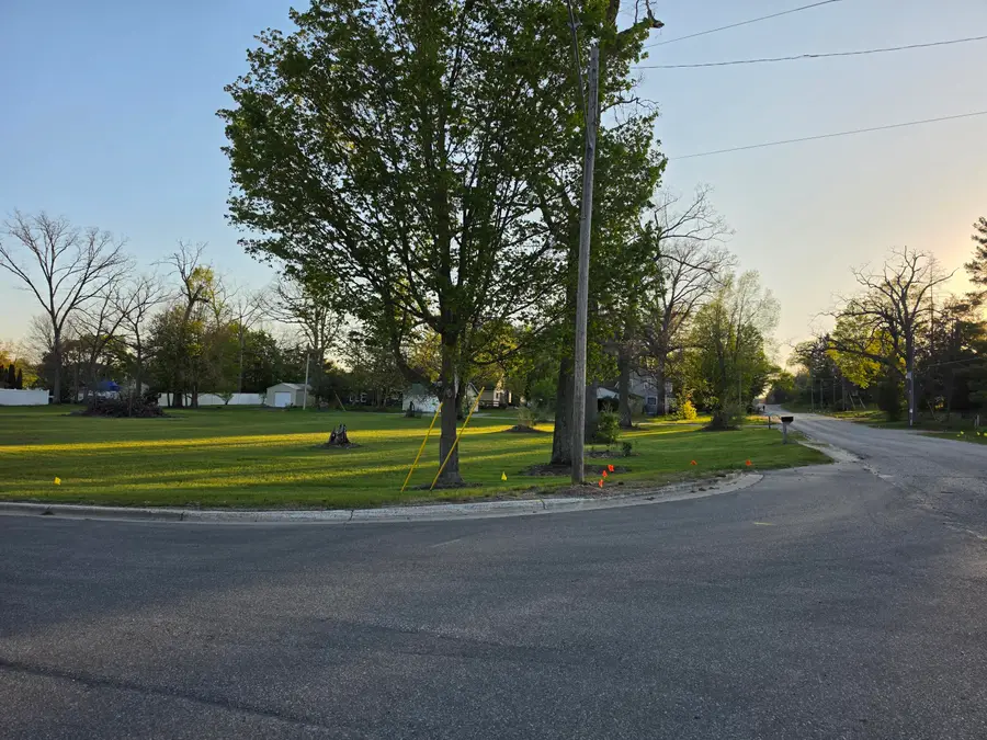 V/L Benson Street, White Cloud, MI 49349 - #3