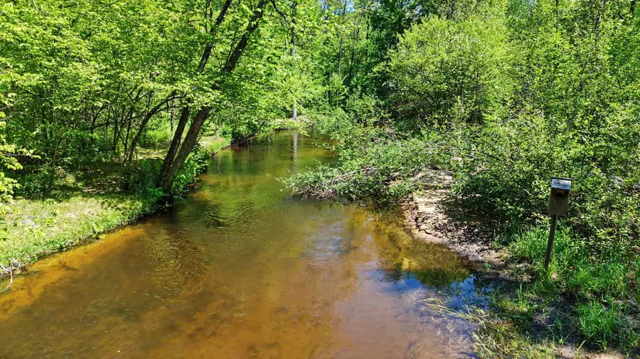 6360 W 8 Mile Road, Irons, MI 49644 - #2