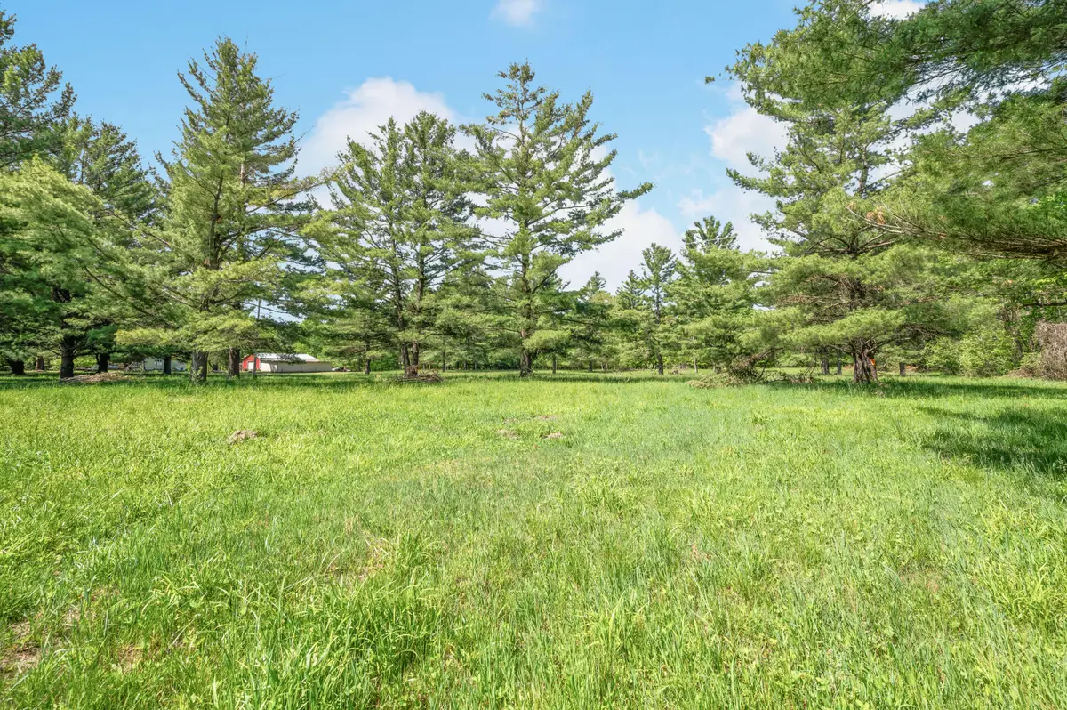 V/L 220th Avenue, Big Rapids, MI 49307 - #1