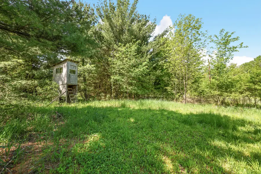 V/L 220th Avenue, Big Rapids, MI 49307 - #2