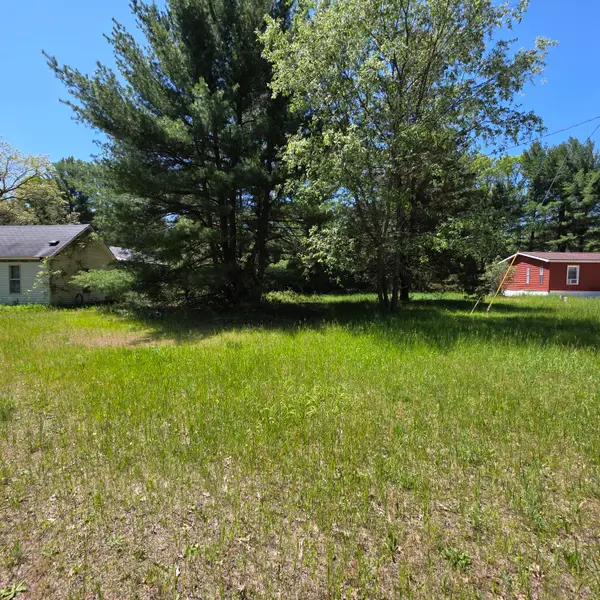 Wilma's Way #Parcel E, Baldwin, MI 49304