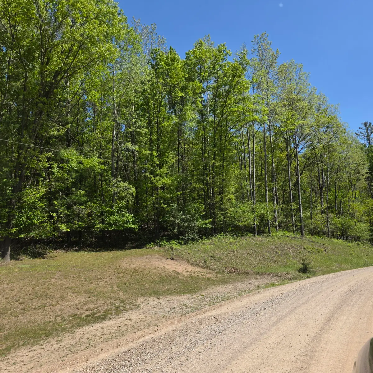 4796 90th Avenue, Evart, MI 49631 - #1