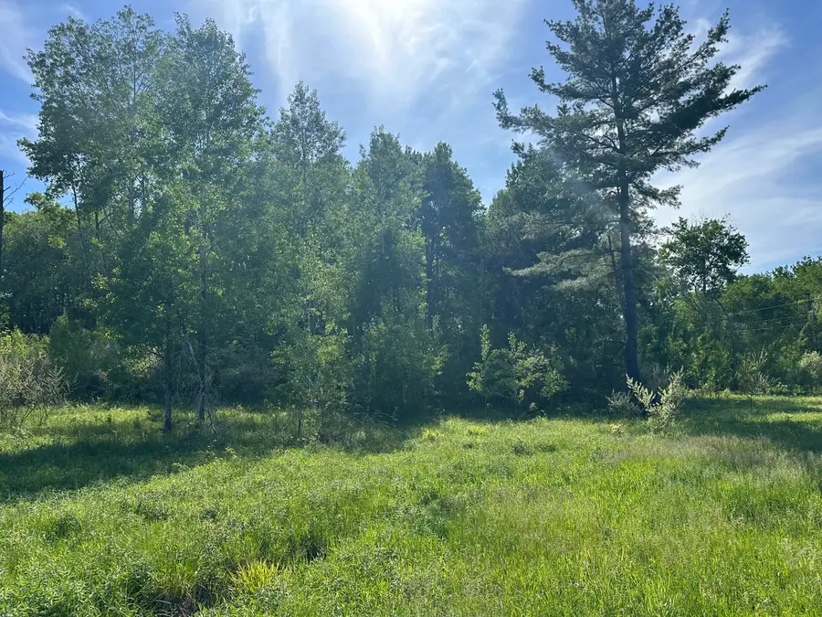 5057 E 3 1/2 Mile Road, Luther, MI 49656 - #3