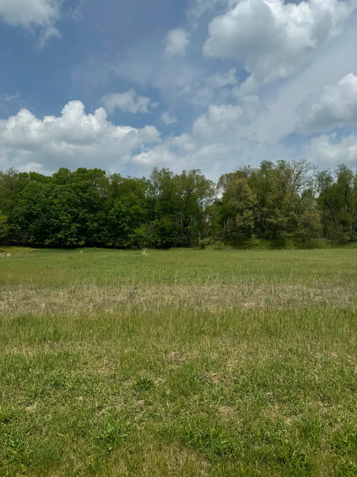 8265 Sunset Lane Se, Alto, MI 49302 - #1