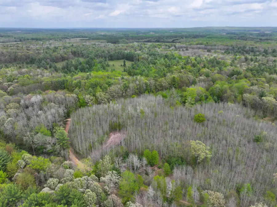 V/L 6.62A W Jefferson Road, Hart, MI 49420 - #3