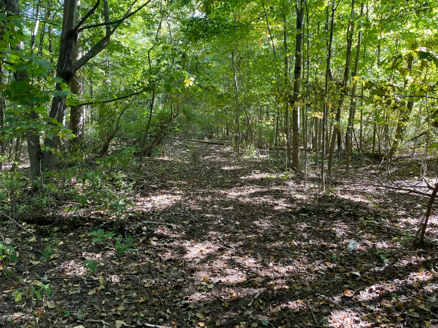 Atkins Road, Clyde, MI 48049 - #2