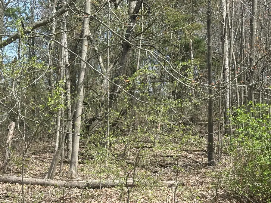 Atkins Road, Clyde, MI 48049 - #3