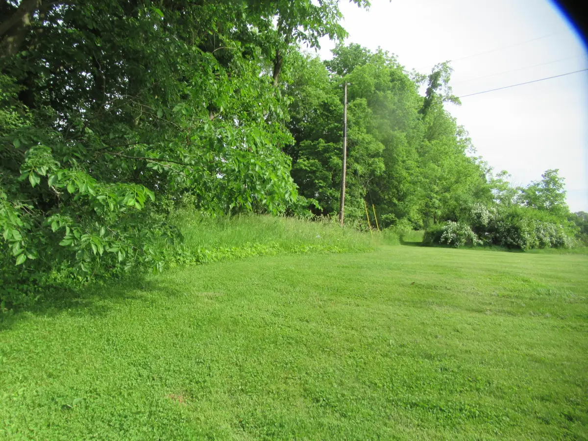 Williamsville Street, Cassopolis, MI 49031 - #1