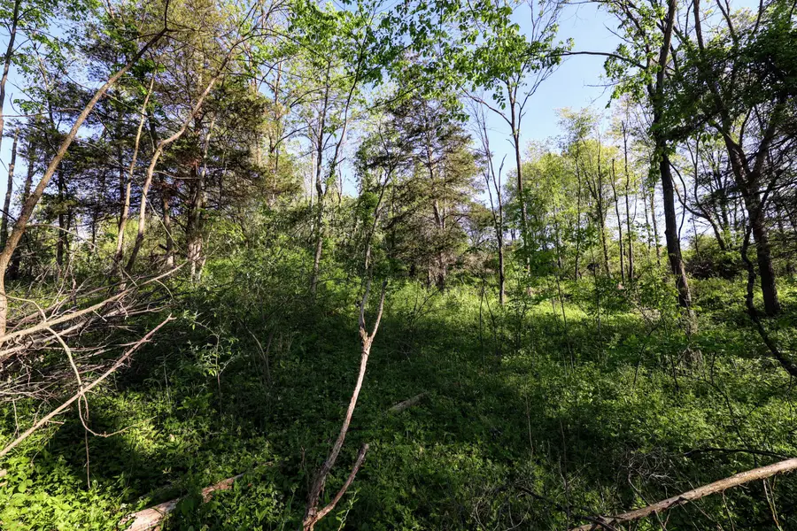 Onsted Highway, Onsted, MI 49265 - #2