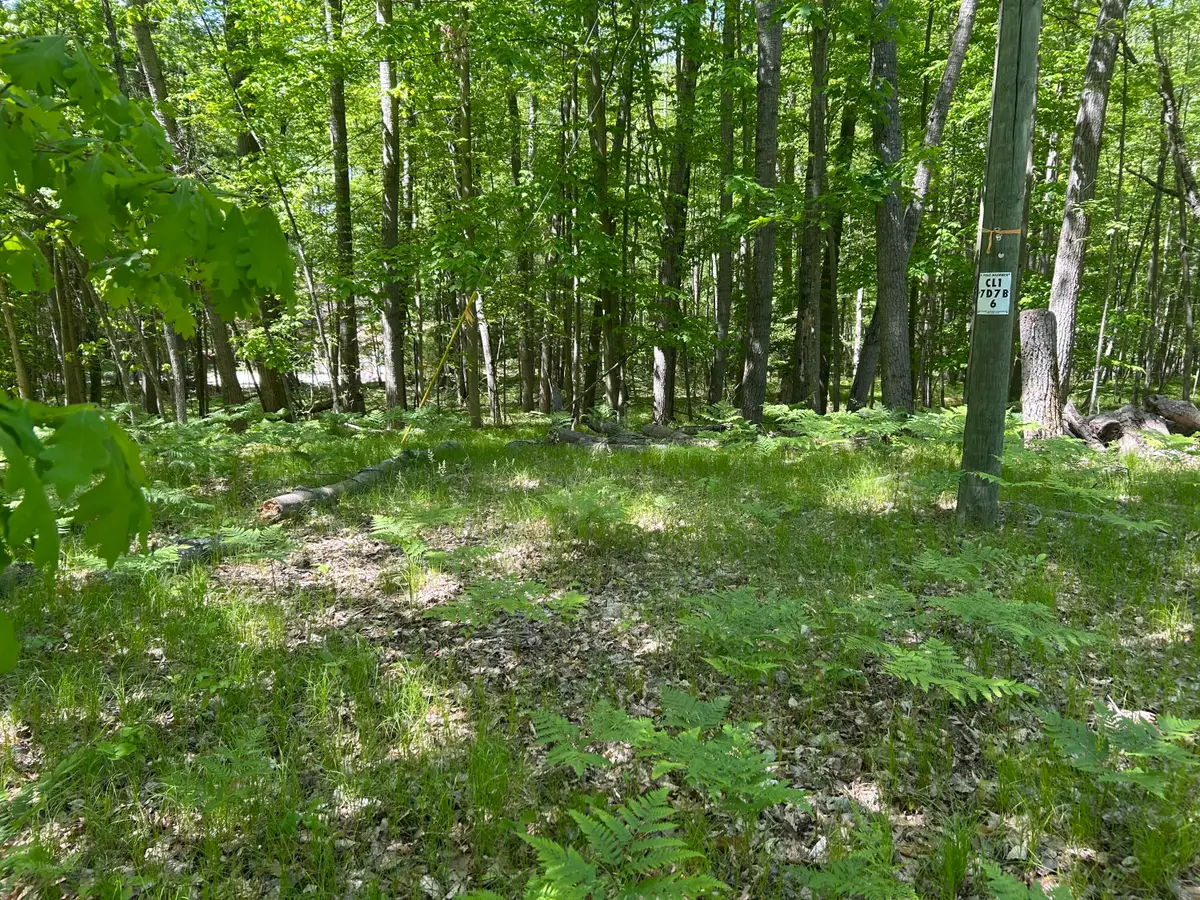 8297 Highland Trail #349, Canadian Lakes, MI 49346 - #1